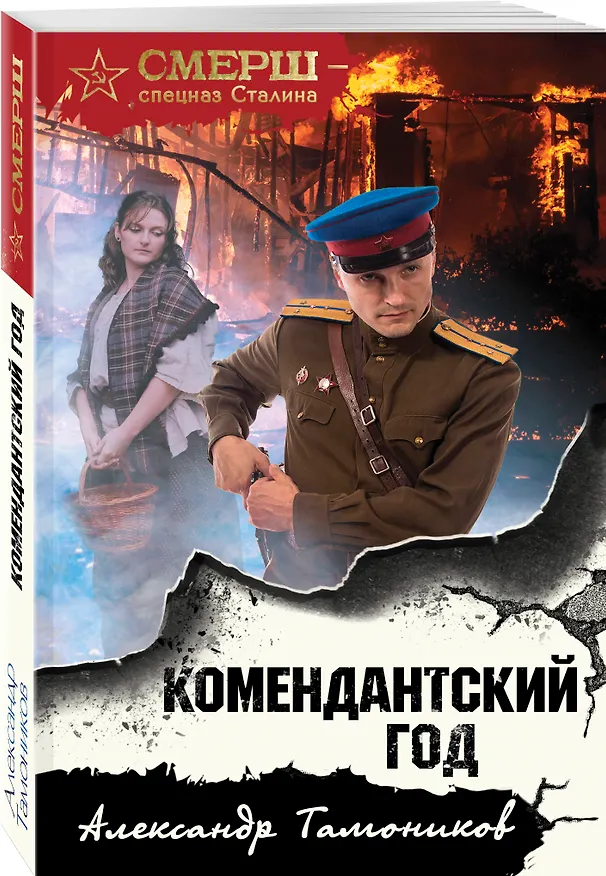 Книга Комендантский год (Александр Тамоников) — 4