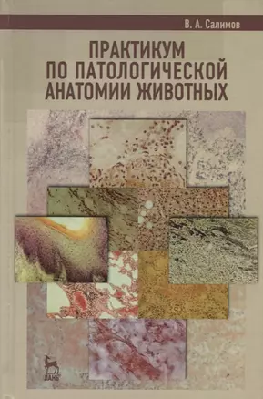 Практикум по патологической анатомии животных. Учебное пособие 2-е изд. перераб. и доп. — 2666194 — 1