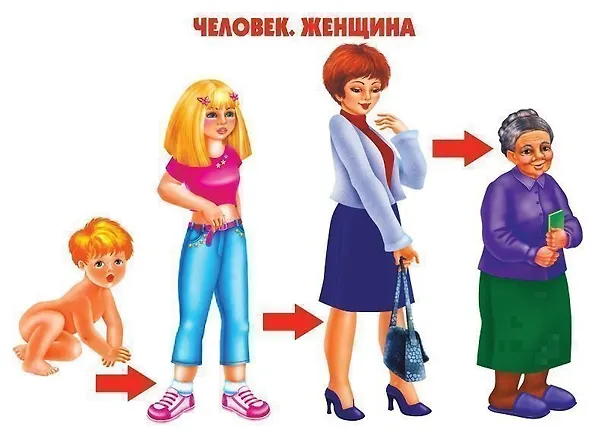 Книга Как растет живое. Рост и развитие людей и живых организмов. Демонстрационный материал для занятий в группах детских садов и индивидуально () — 2