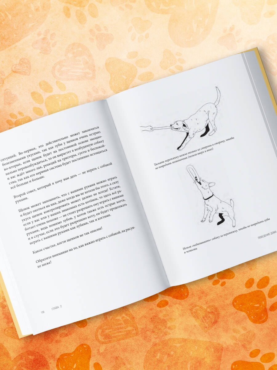 Изображение бумажной книги