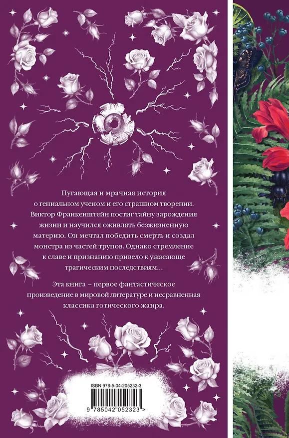 Книга Франкенштейн (Мэри Шелли) — 2