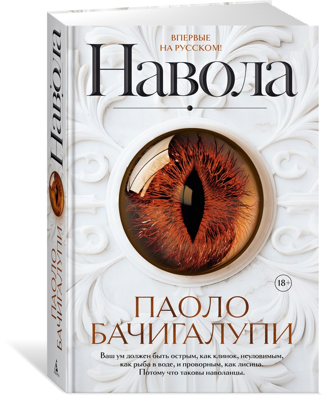 Изображение бумажной книги