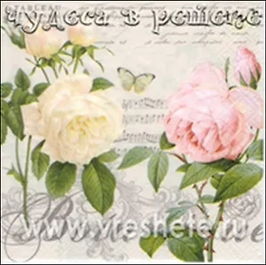 Наб. салф. для декупажа Ботанический сад (НСД2037) (2шт) (упаковка)