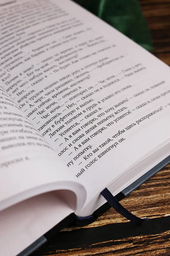 Книга Отель "У погибшего альпиниста" (Борис Стругацкий, Аркадий Стругацкий) — 12