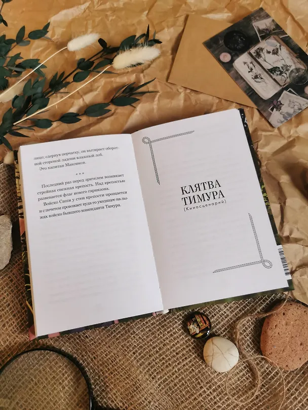 Книга Тимур и его команда (Аркадий Гайдар) — 11