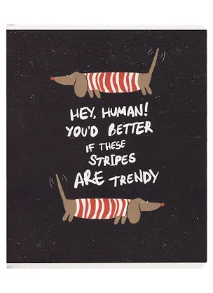 Тетрадь общая «Hey human. Таксы», 48 листов в клетку, A5 - Be Smart 2900020