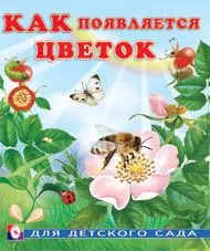 Как появляется цветок — 354589 — 1