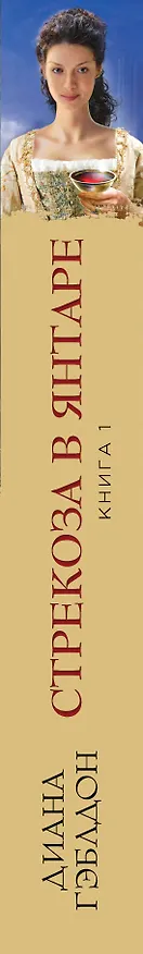Книга Стрекоза в янтаре. Книга 1. Разделенные веками (Диана Гэблдон) — 3