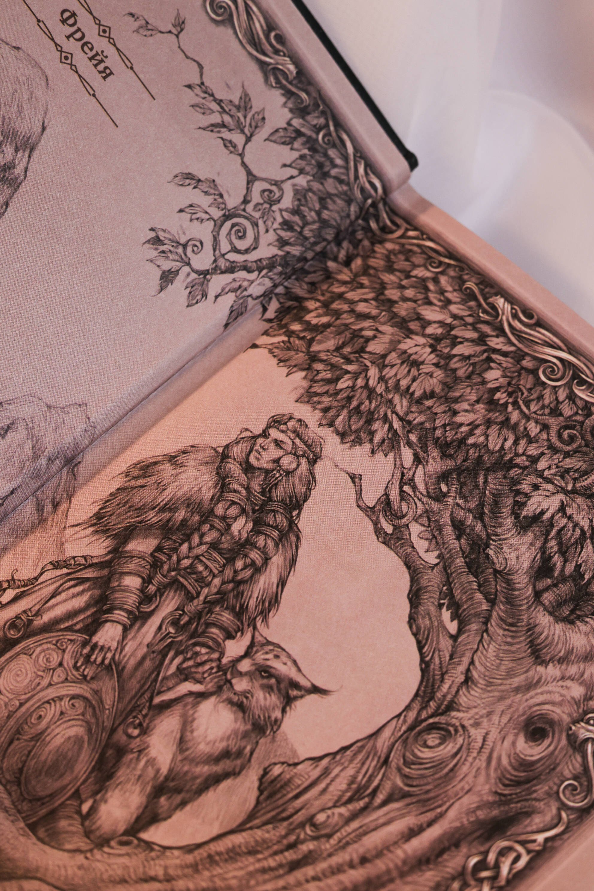 Изображение бумажной книги