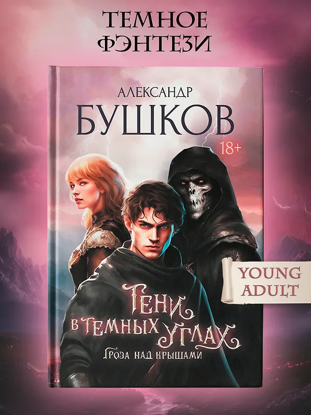 Книга Тени в темных углах. Гроза над крышами (Александр Бушков) — 3