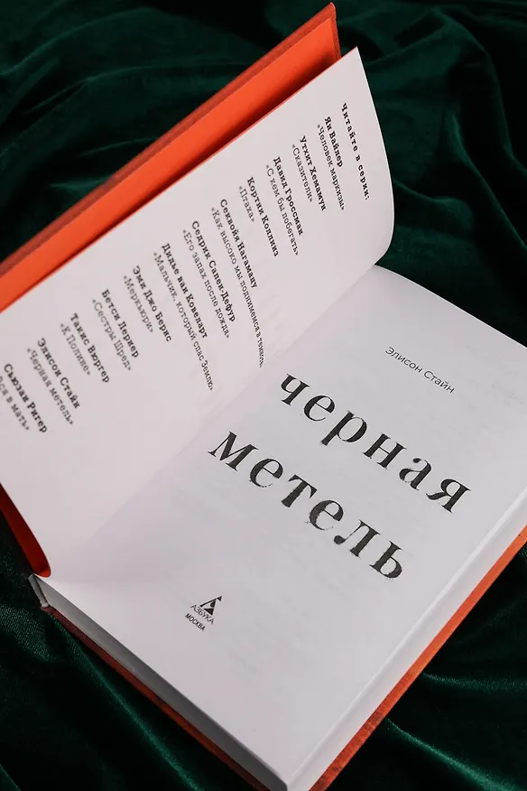 Книга Черная метель (Элисон Стайн) — 11