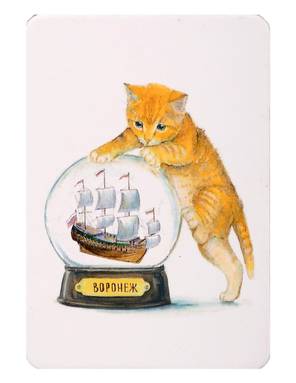 Магнит Кот шар Кораблик (Воронеж) (картон) (МК/221/801) 3167939 — 1