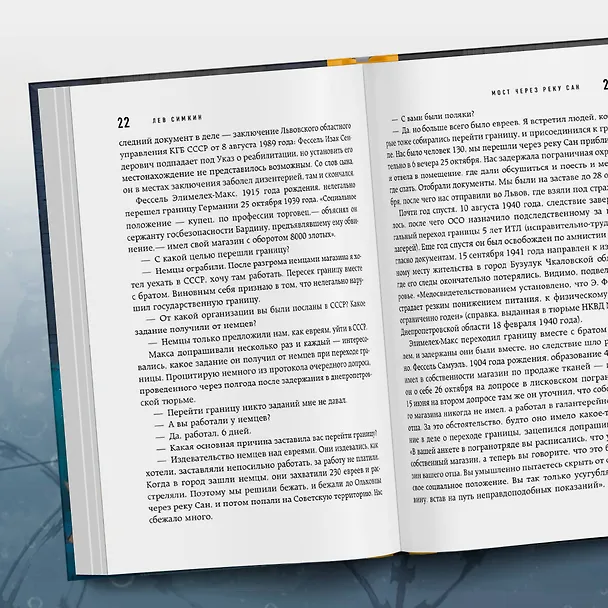 Книга Мост через реку Сан. Холокост: пропущенная страница (Лев Симкин) — 11