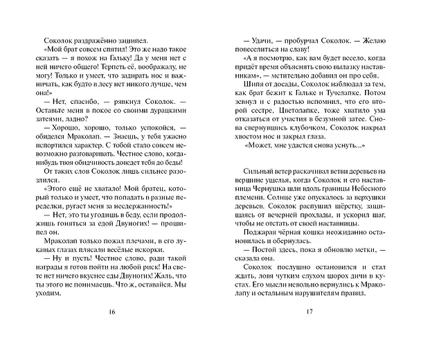 Книга Ослепление (Эрин Хантер) — 8