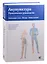 Акупунктура. Практическое руководство. Локализация точек- Методы -Выбор лечения — 2842969 — 1