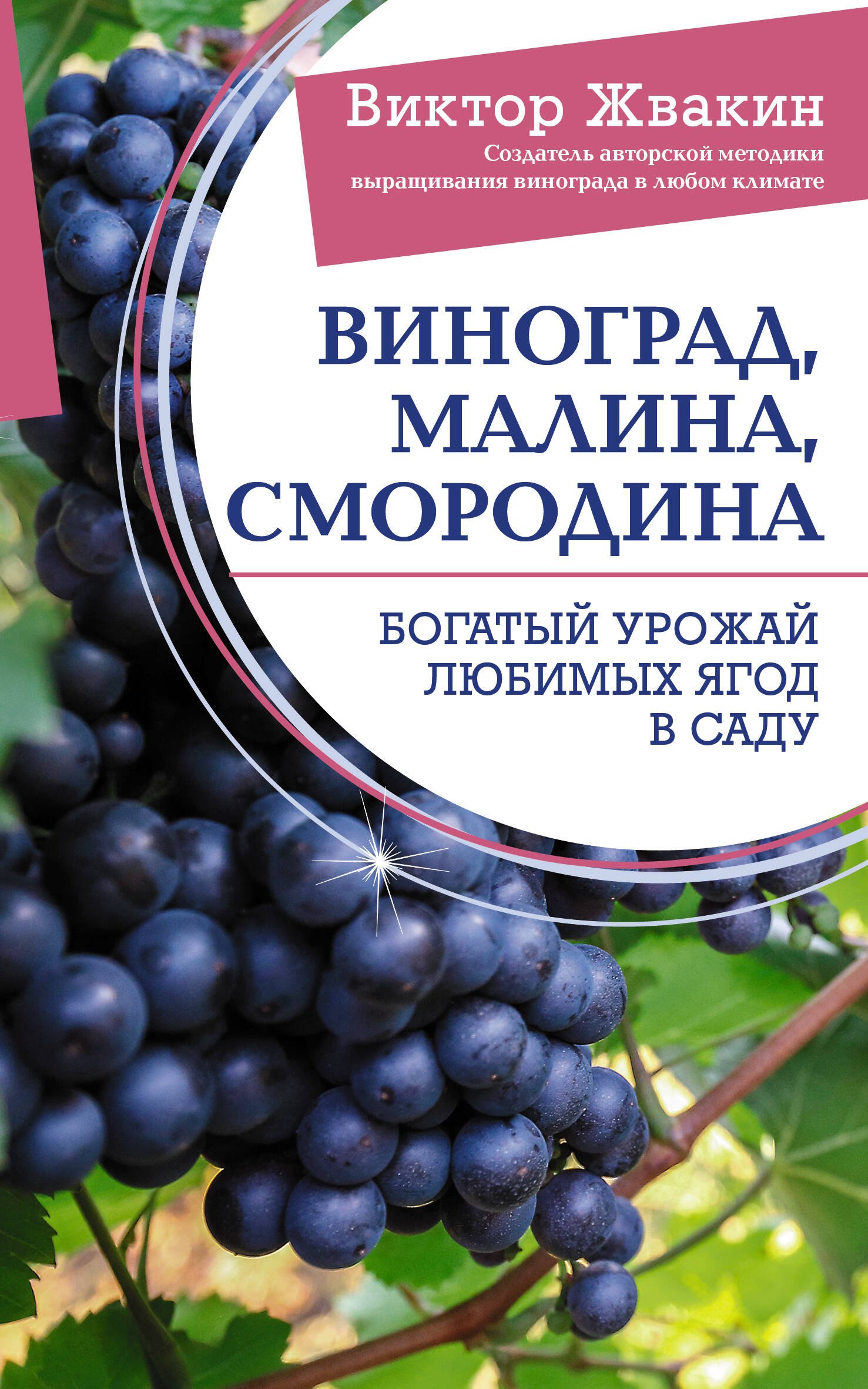 

Виноград, малина, смородина. Богатый урожай любимых ягод в саду