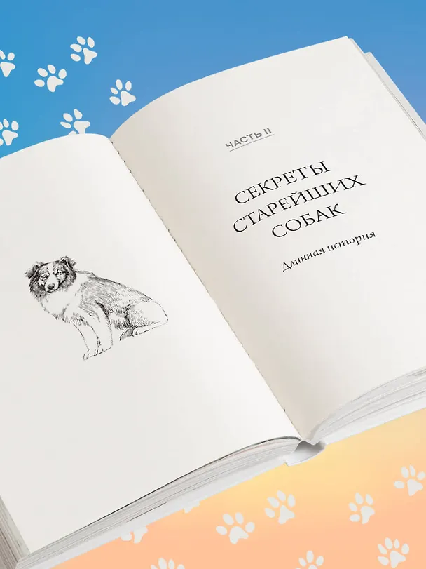 Книга Собака навсегда. The forever dog. Прорывное научное открытие, которое поможет сохранить здоровье и продлить жизнь вашей собаке (Родни Хабиб, Карен Шоу Беккер) — 12