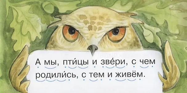 Книга Совушка (Соня Румянцева) — 2