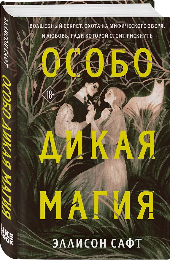Книга Особо дикая магия (Эллисон Сафт) — 5