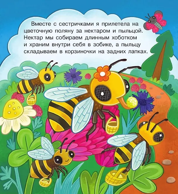 Книга В гостях у пчёлки Жужи (Елена Березина) — 3