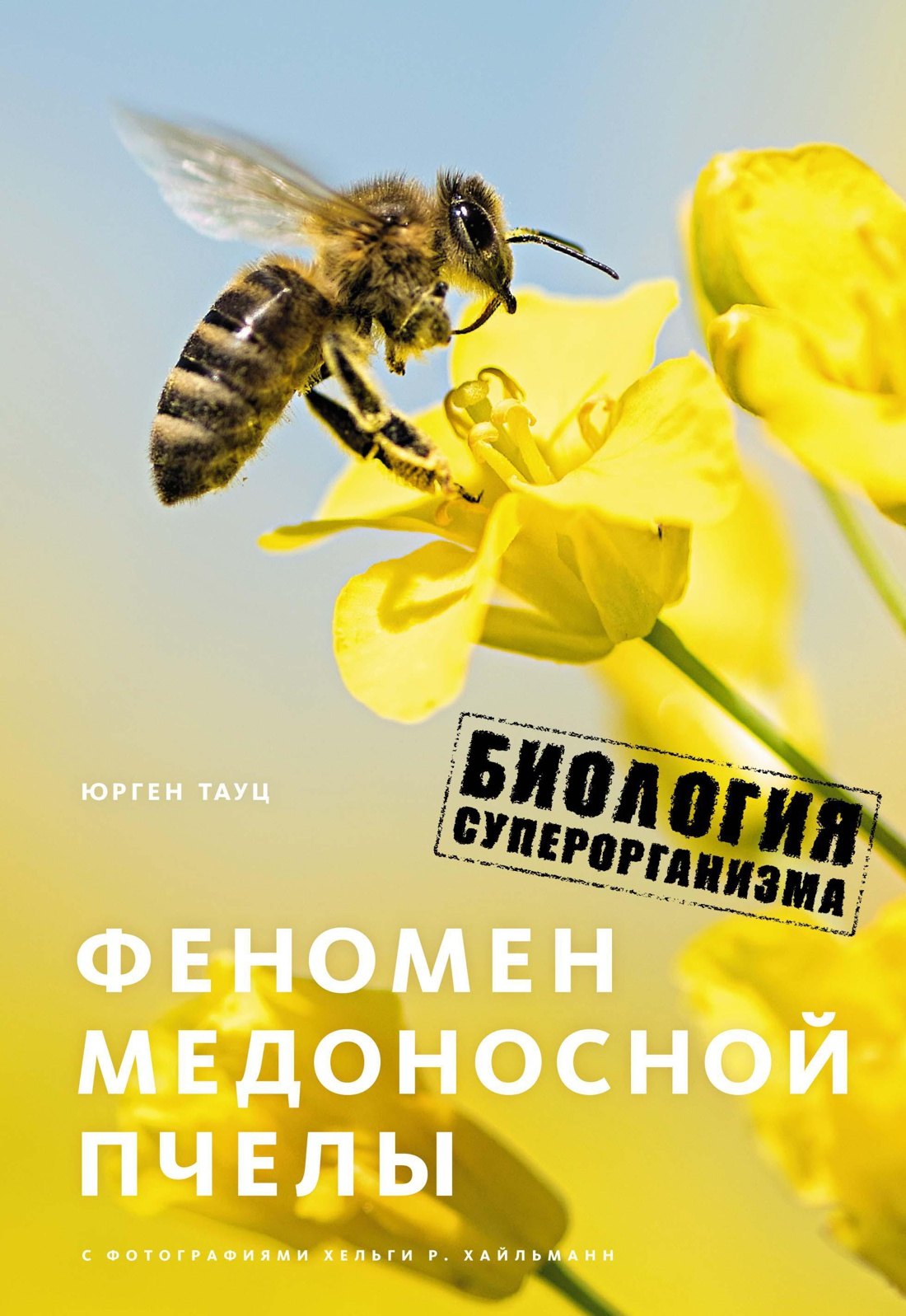 

Феномен медоносной пчелы. Биология суперорганизма