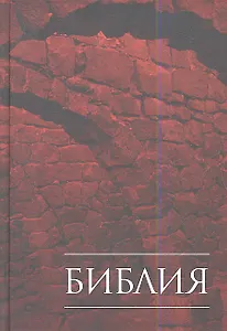 Библия (1168) илл.(043) кн.св.писания ветх.и нового завета.Варен.обл.