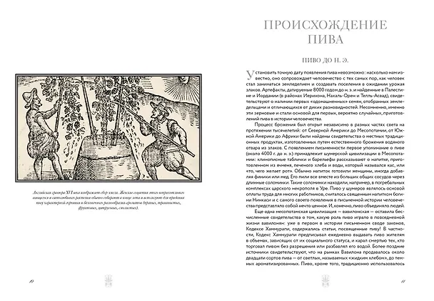 Книга Маленькая книга гурмана. Пиво (Пьетро Фонтана, Джованни Руджиери) — 10