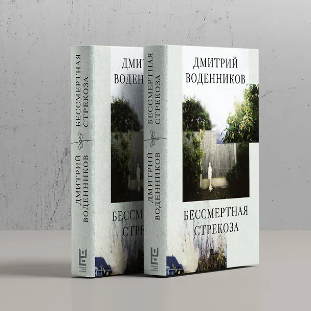 Книга Бессмертная стрекоза (Дмитрий Воденников) — 8