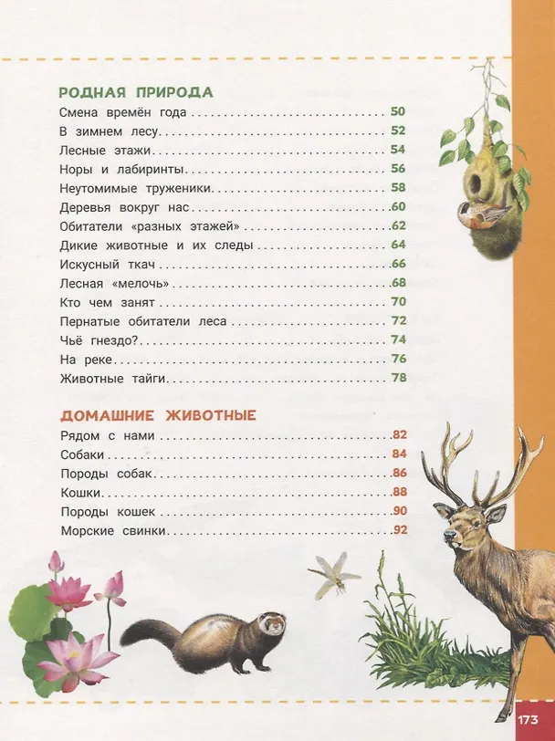 Книга Энциклопедия будущих отличников (Лариса Клюшник, Ольга Железникова, Светлана Гальцева, Ирина Травина) — 3
