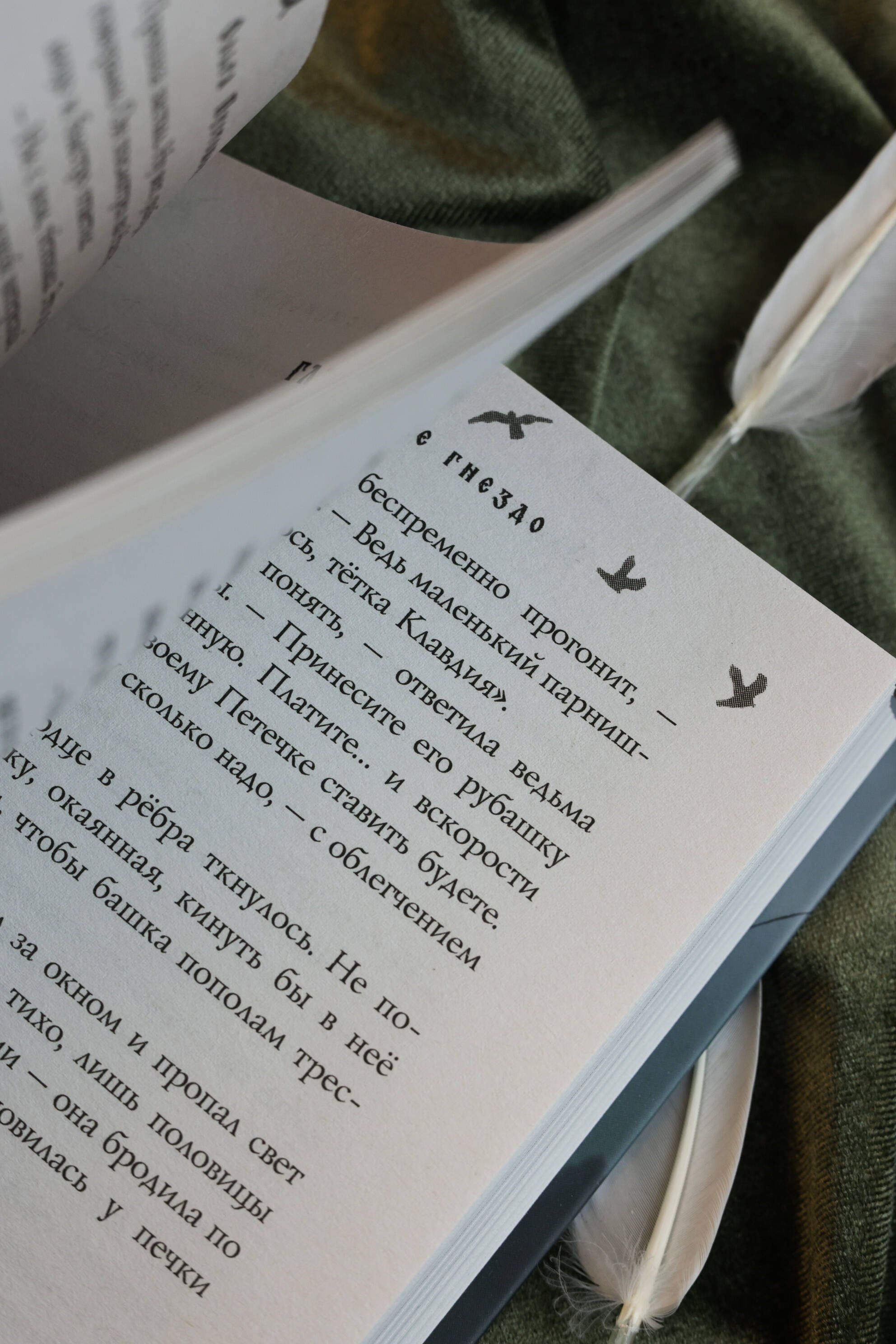 Изображение бумажной книги