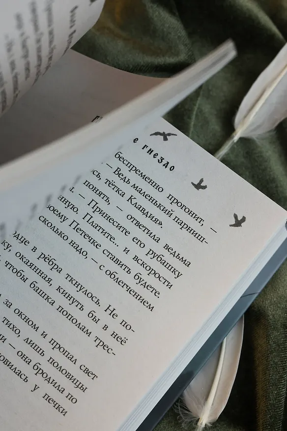 Книга Сорочье гнездо (Ольга Пустошинская) — 14