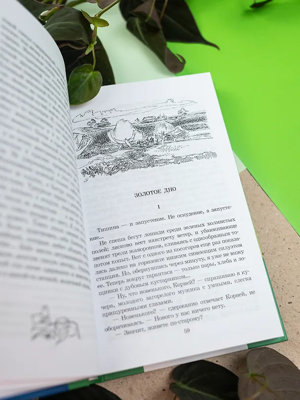 Книга Легкое дыхание (Иван Бунин) — 8