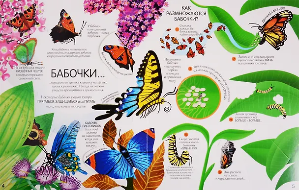 Книга Жуки и бабочки. Более 80 секретных створок (Эмили Бон) — 5