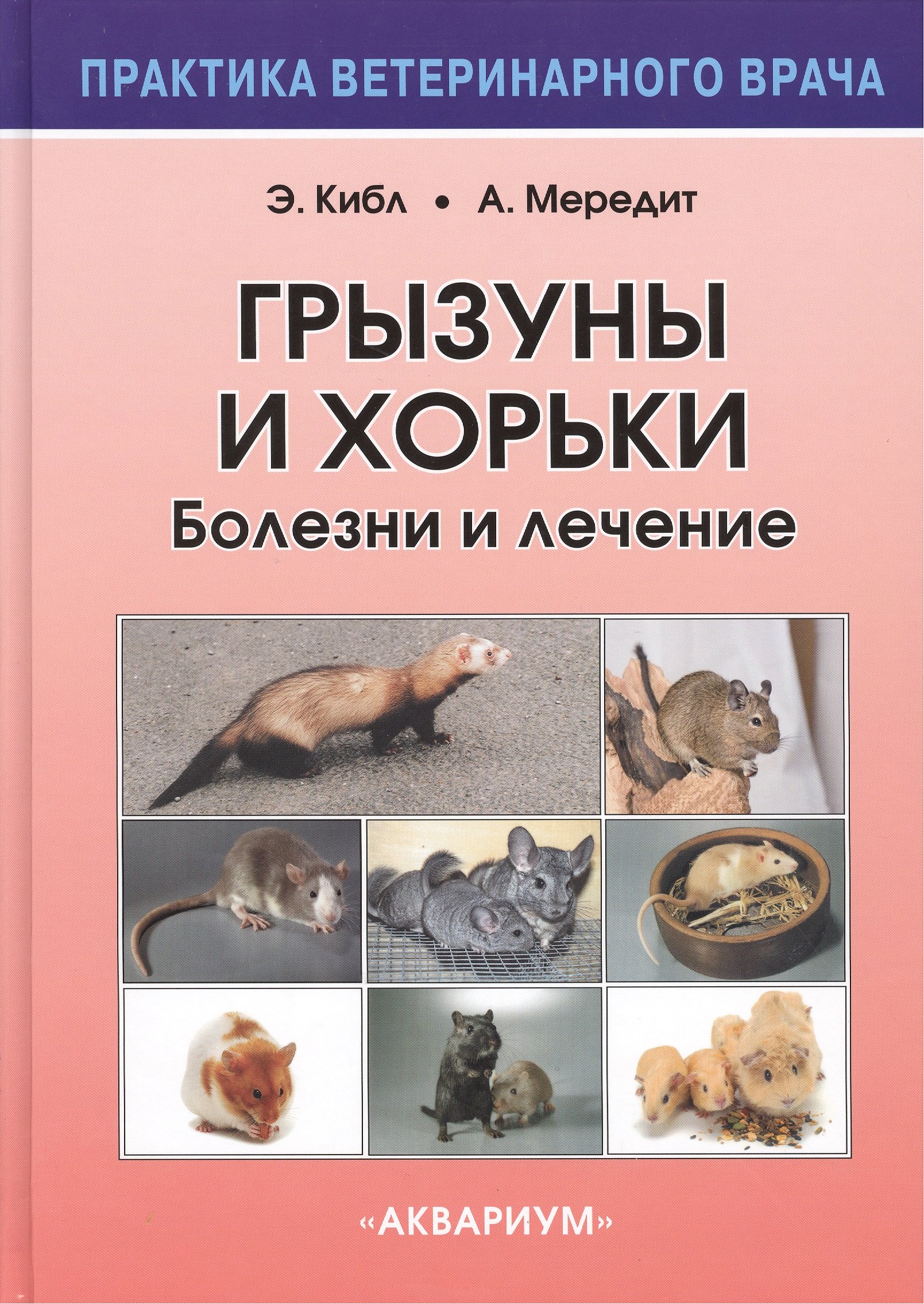 

Грызуны и хорьки. Болезни и лечение