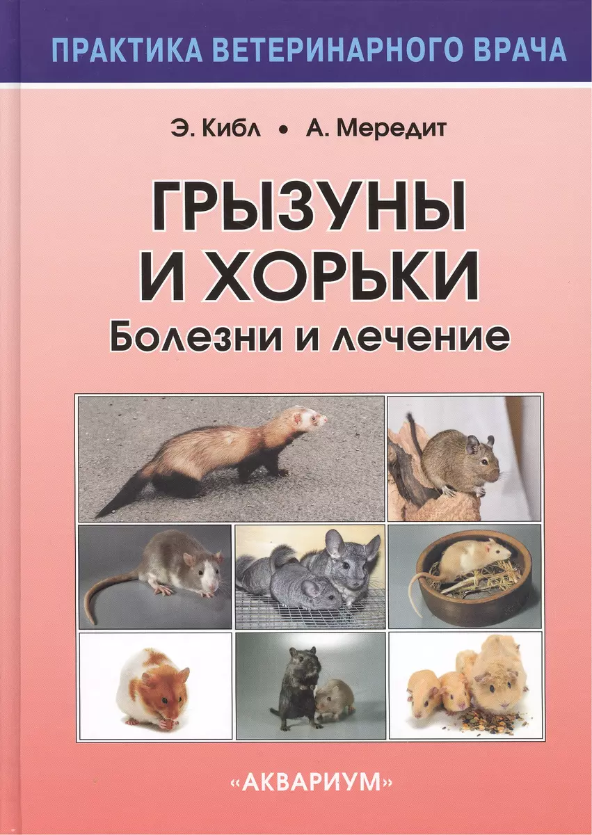 Грызуны и хорьки. Болезни и лечение (Эмма Кибл) - купить книгу с доставкой  в интернет-магазине «Читай-город». ISBN: 978-5-4238-0246-2