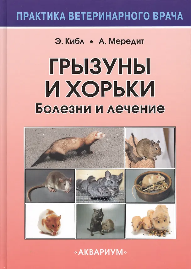 Книга Грызуны и хорьки. Болезни и лечение (Эмма Кибл) — 1