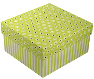 Коробка подарочная "Ромашки c полосками" салатовая, 13*13*7.5см