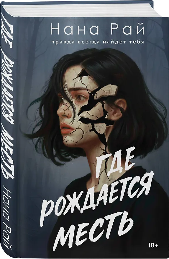 Книга Где рождается месть (Нана Рай) — 5