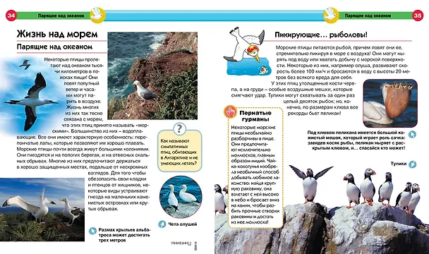 Книга Море (Эммануэла Буза) — 8