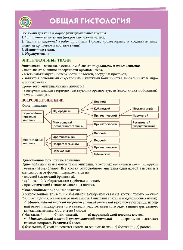 Книга Общая гистология () — 3