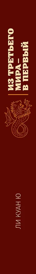 Книга Из третьего мира - в первый. История Сингапура 1965-2000 (Куан Ю Ли) — 4