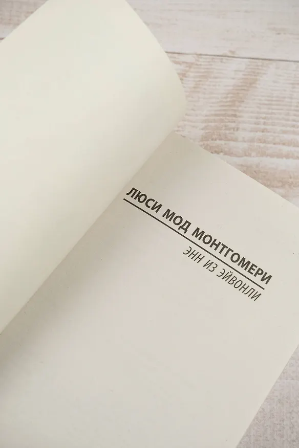 Книга Энн из Эйвонли (Люси Мод Монтгомери) — 8