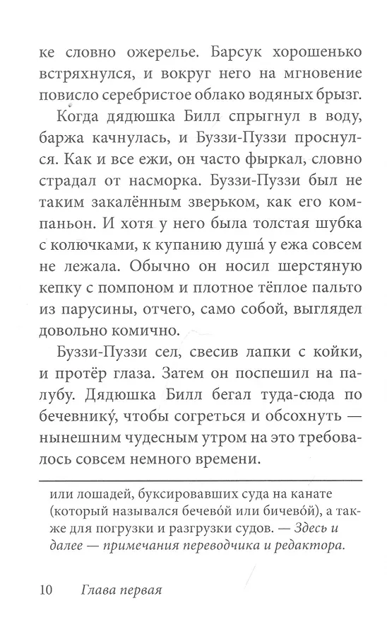 Книга Билл Барсук и пираты (Дeнис В.В. Уоткинс-Питчфорд) — 3