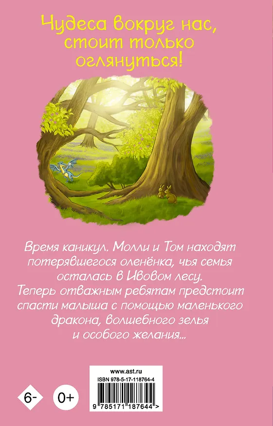 Книга Оленёнок и дракон (Дж. С. Беттс) — 2