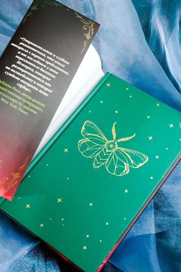 Книга Бессердечный охотник (Кристен Чиккарелли) — 13