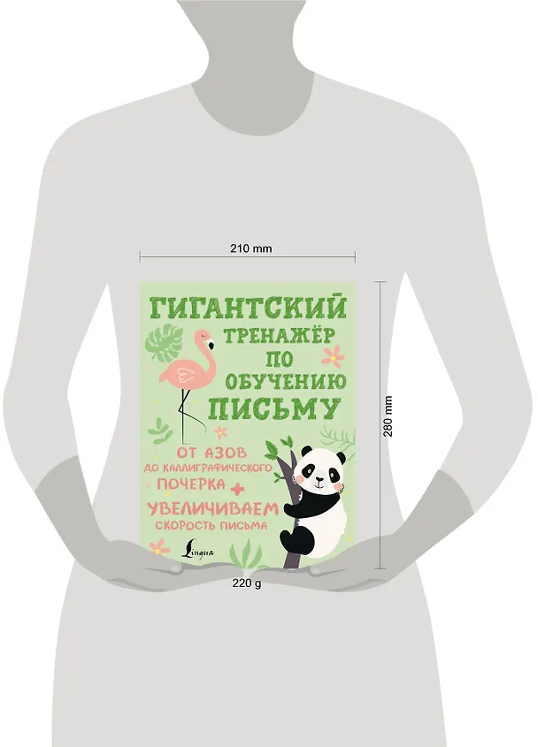Книга Гигантский тренажёр по обучению письму: от азов до каллиграфического почерка + увеличиваем скорость письма () — 5