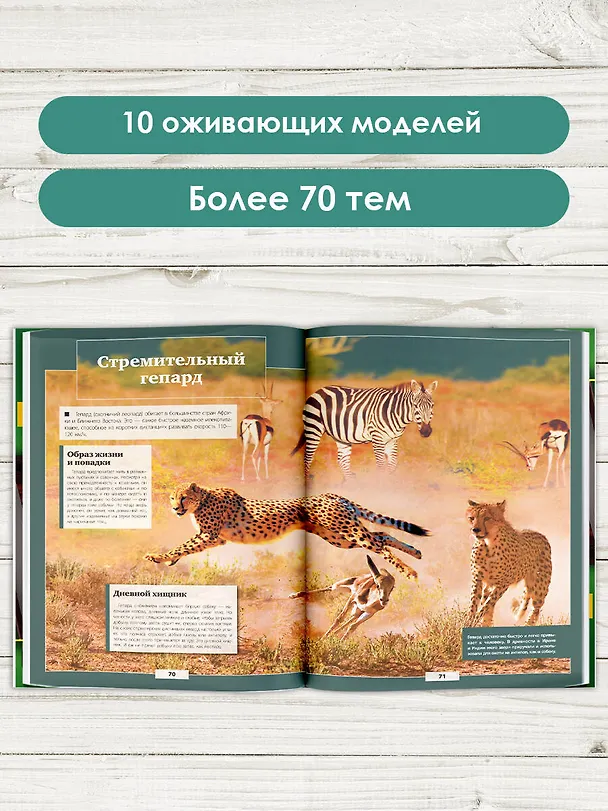 Книга Животные нашей планеты (Елена Папуниди, Дмитрий Кошевар) — 6