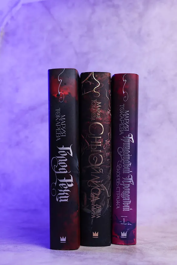 Книга Тринадцатый Проклятый. Скорбь Стража (Мария Токарева) — 15