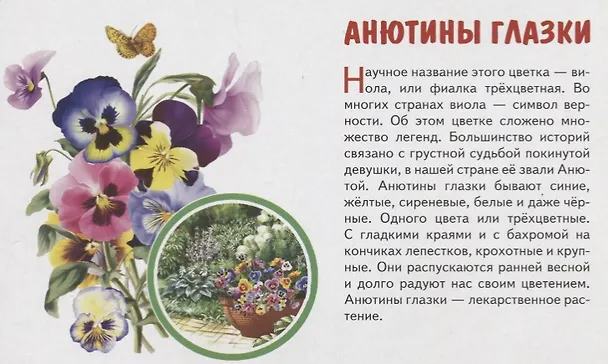 Книга Обучающие карточки "Садовые цветы" () — 3