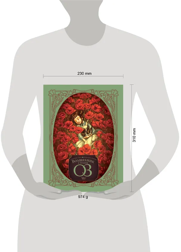 Книга Волшебник страны Оз (Бенжамен Лакомб) — 14